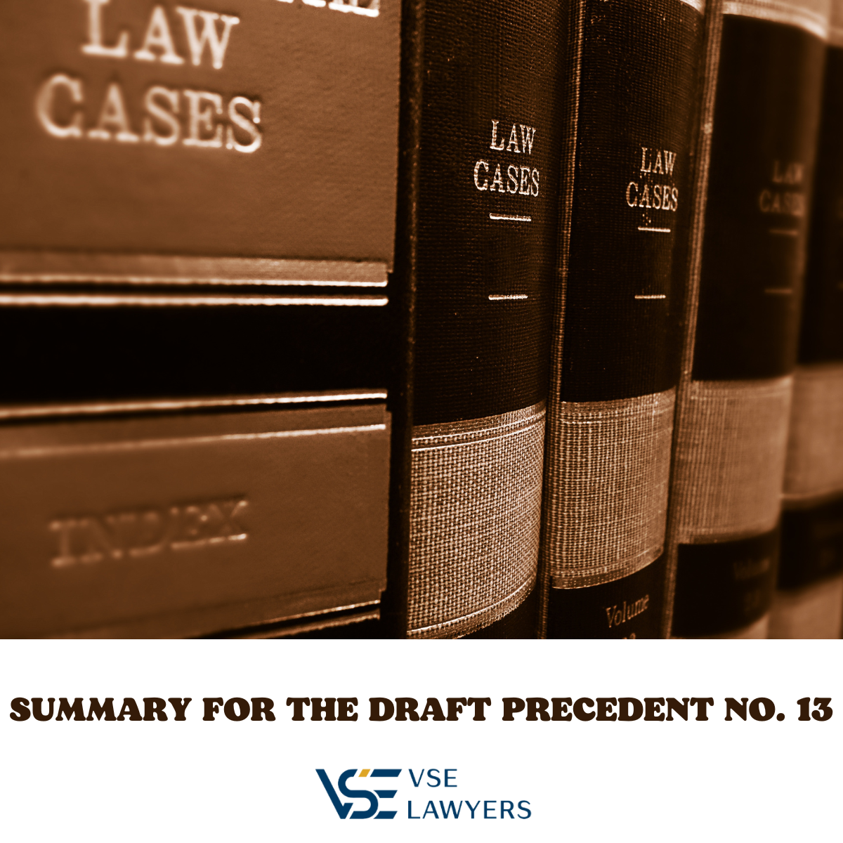 SUMMARY FOR THE DRAFT PRECEDENTS NO. 13/2023