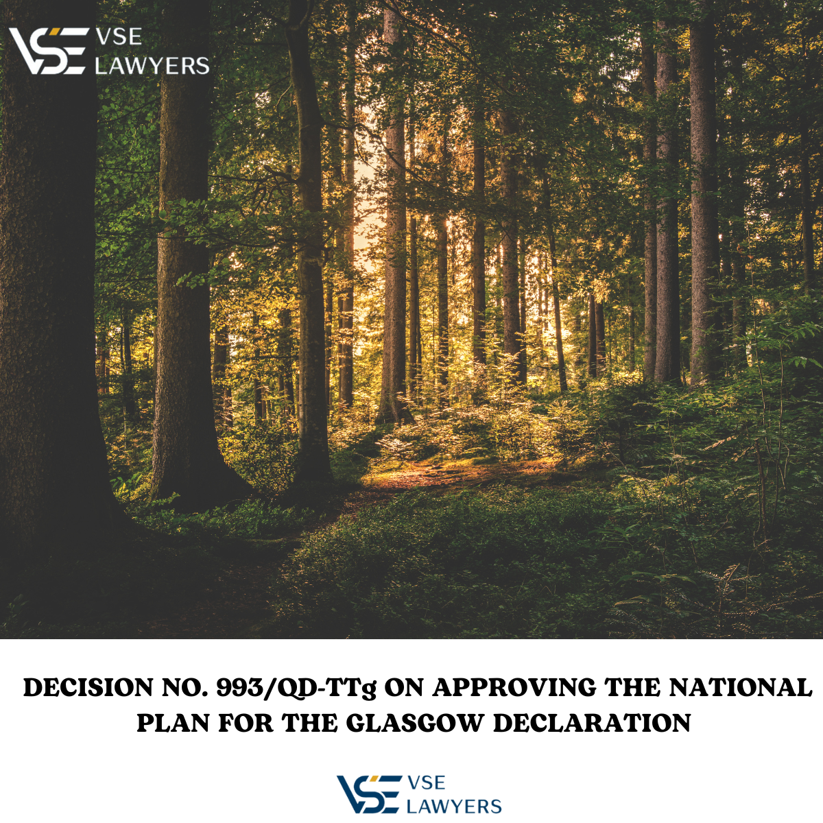 DECISION NO. 993/QD-TTg ON APPROVING THE NATIONAL PLAN FOR THE GLASGOW DECLARATION