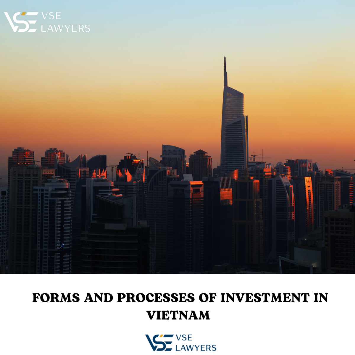 WHAT ARE THE TYPES OF BUSINESS INVESTMENT IN VIETNAM, AND HOW DOES THEIR PROCESS WORK?