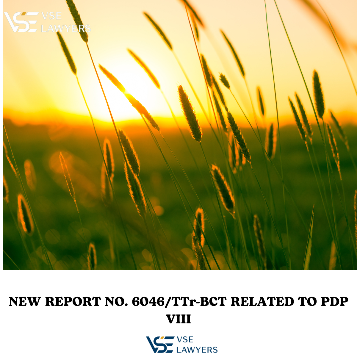 NEW REPORT NO. 6046/TTr-BCT RELATED TO PDP VIII